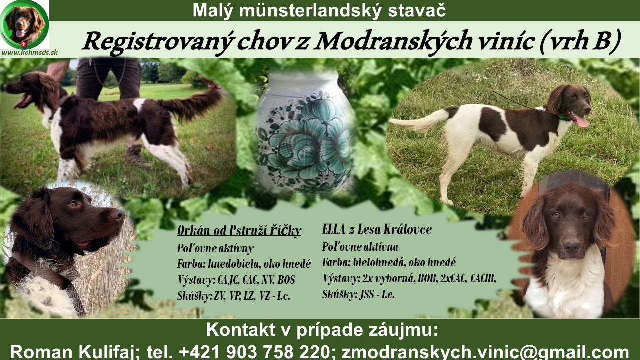 z Modranských viníc