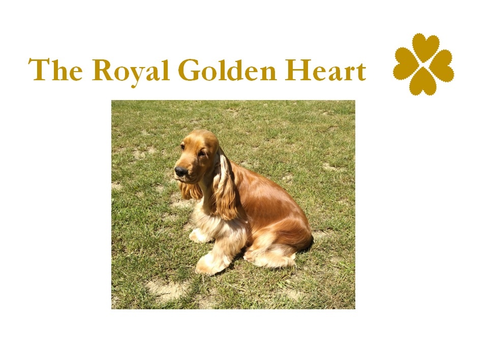 The Golden Royal Heart