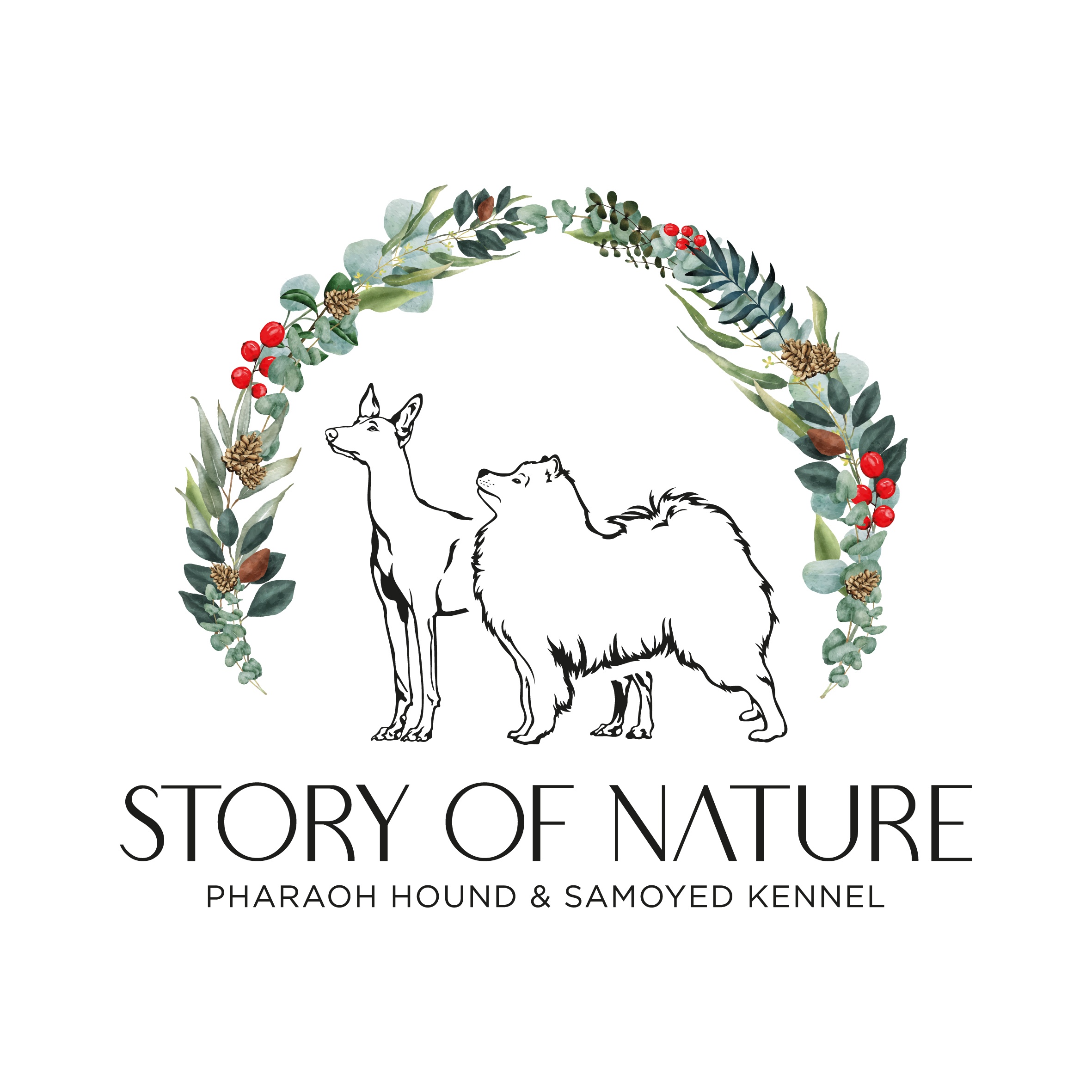 Story of Nature