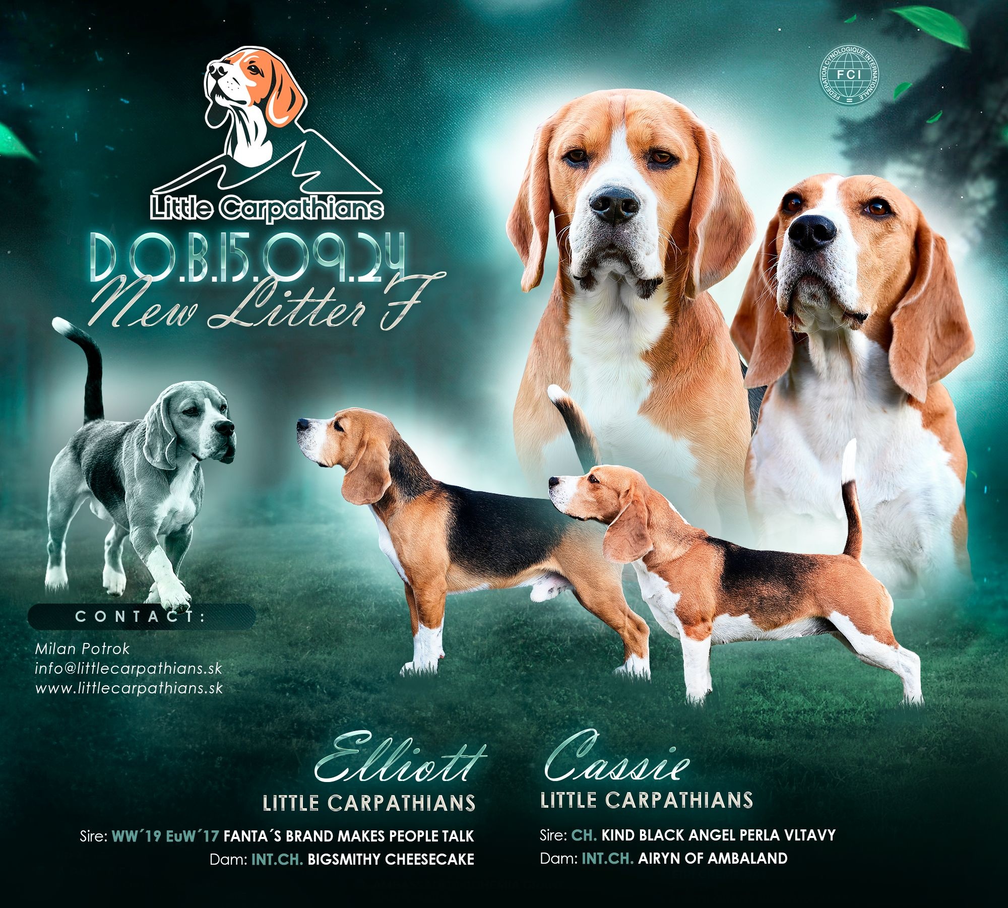 Vrh F - Little Carpathians Beagle Kennel