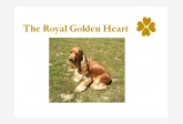 The Golden Royal Heart