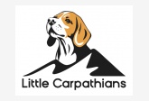 Little Carpathians Beagle Kennel