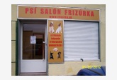 Obrázok používateľa psi salon frizurka