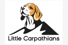 Little Carpathians Beagle Kennel