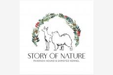 Story of Nature