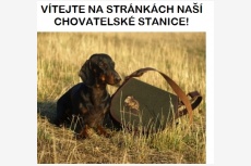 Chovateľská stanica používateľa lolita.zde