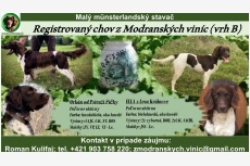 Vrh B - z Modranských viníc